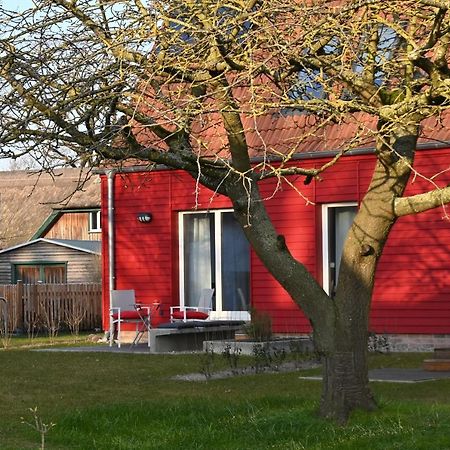 Ferienwohnung Rote Kate Born Εξωτερικό φωτογραφία